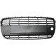 Δίχτυ προφυλακτήρα εμπρός μεσαίο Hyundai I10 (PA) 2007-2010