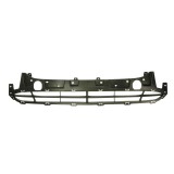 Δίχτυ προφυλακτήρα εμπρός μεσαίο Hyundai Santa Fe (CM) 2009-2012